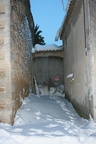 IMG 4429