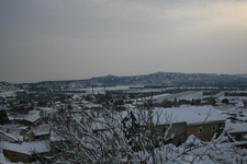 IMG 4146
