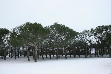 IMG 4180