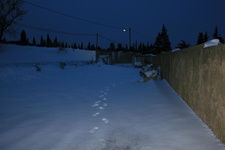 IMG 4281