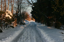 IMG 4340