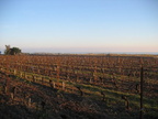 paysage maguelone-01