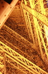 IMG 7282