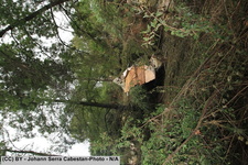 2014 10 11 crue-gardon-2-042