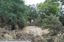 2014 10 11 crue-gardon-2-044