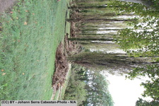 2014 10 11 crue-gardon-2-047