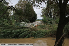 2014 10 11 crue-gardon-2-059