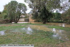 2014 10 11 crue-gardon-2-060