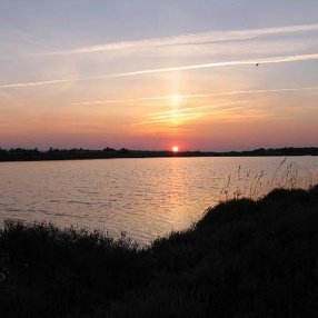 Lever de soleil en Camargue - 05/06/2004