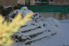 IMG 4372