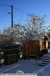 IMG 7403