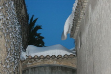 IMG 4428