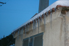 IMG 4431
