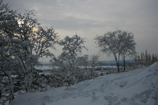 IMG 4158