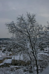 IMG 4162