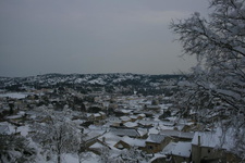 IMG 4163