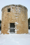 IMG 4187
