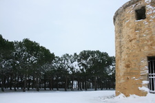 IMG 4190