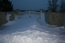 IMG 4248