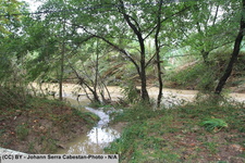 2014 10 11 crue-gardon-2-036
