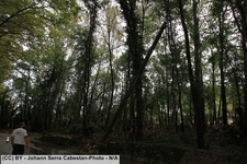 2014 10 11 crue-gardon-2-038